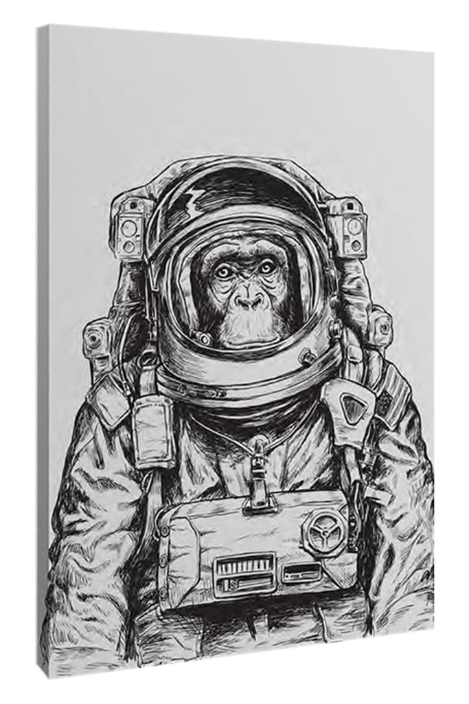 Panel impermeable mono astronauta - #dimensiones de costura